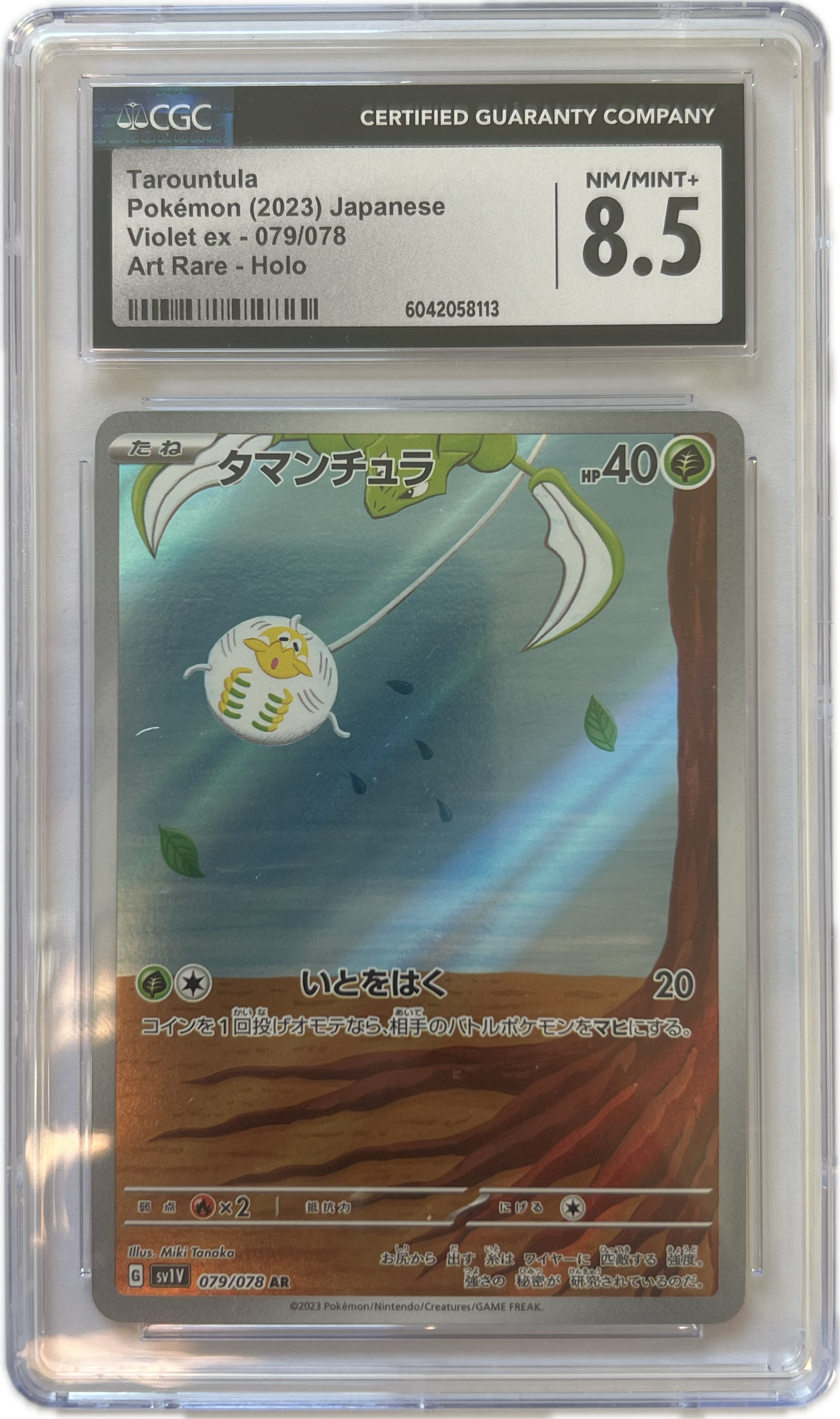 Tarundel – Violet ex (Japanisch) – CGC 8.5